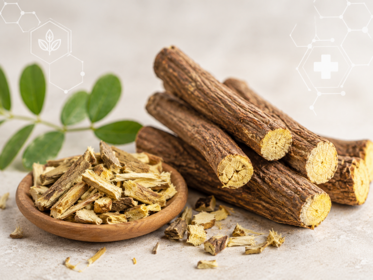 racine de réglisse Glycyrrhiza glabra et rhizomes séchés sur fond neutre