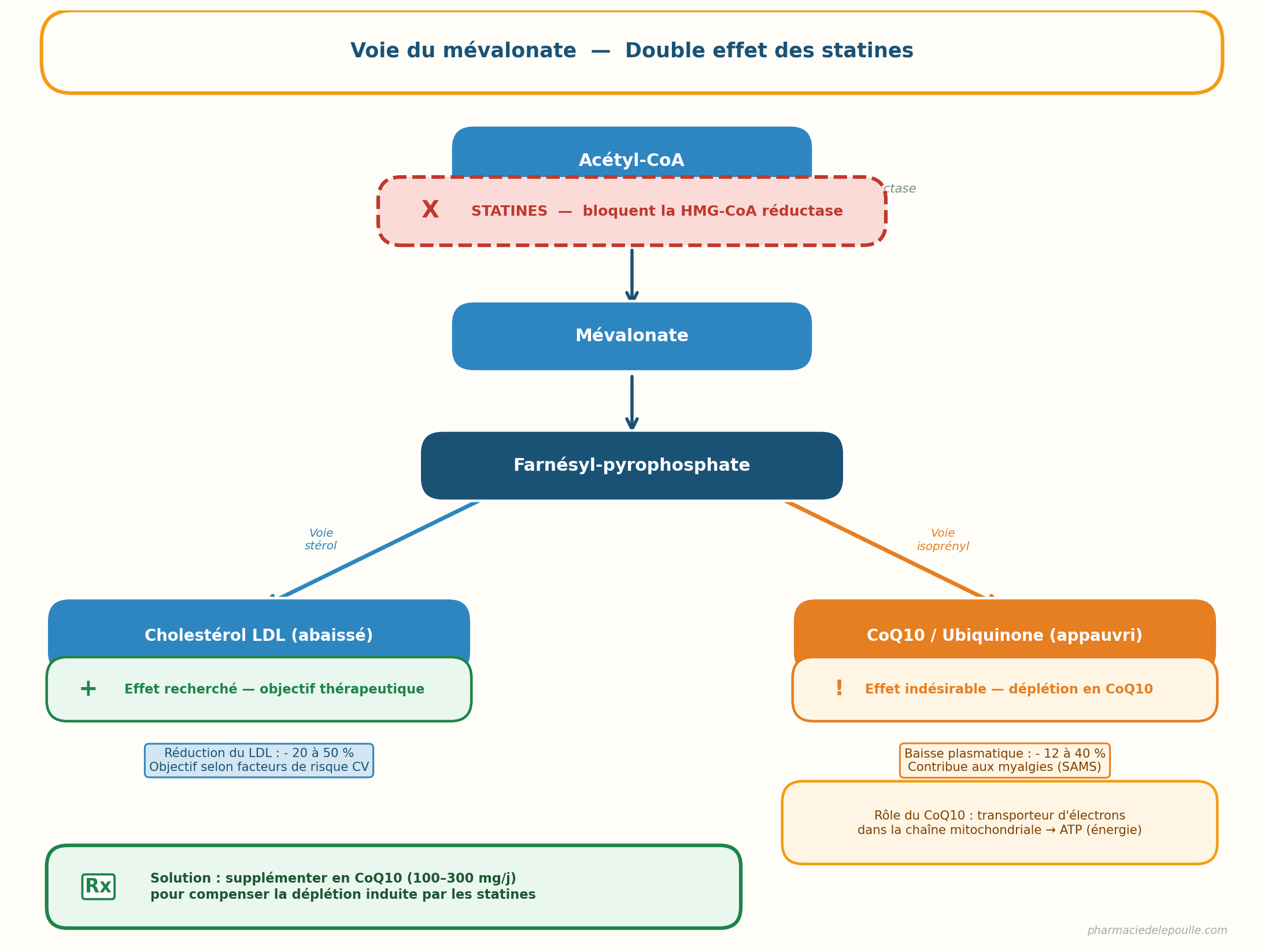 Schéma de la voie du mévalonate — double effet des statines sur le cholestérol LDL et le CoQ10